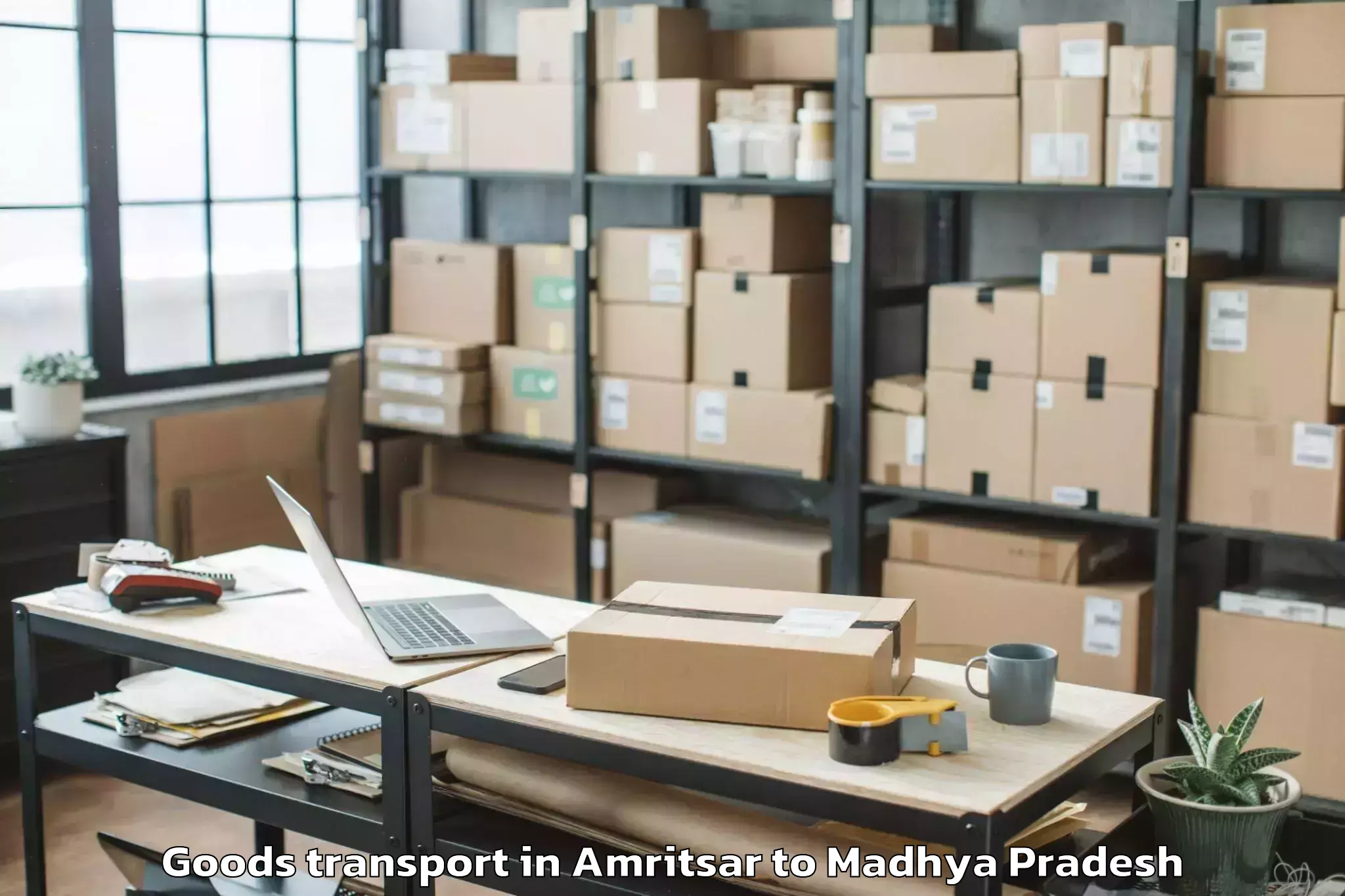 Book Amritsar to Sardarpur Goods Transport Online